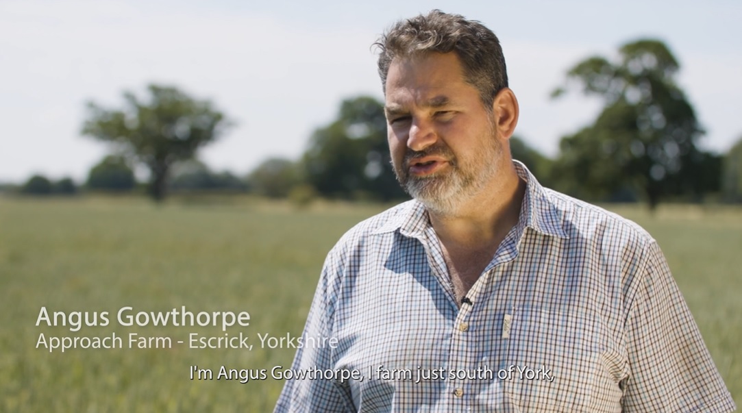 Angus-Gowthorpe-video-cover